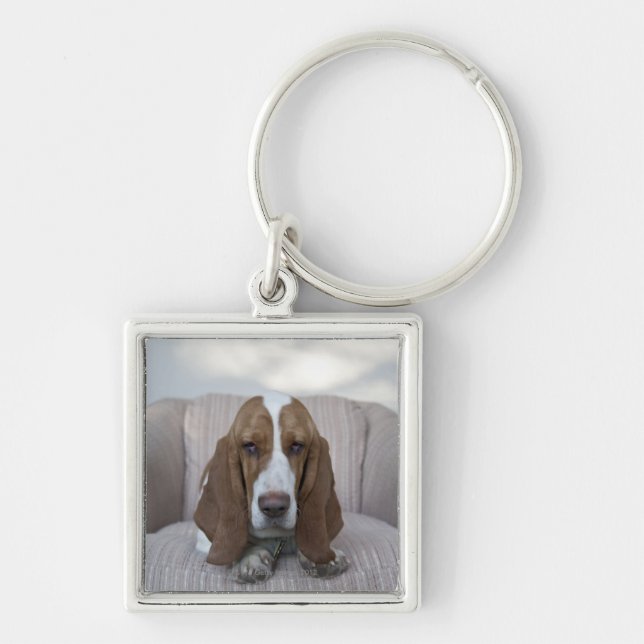 Chaveiro Basset Hound (Frente)