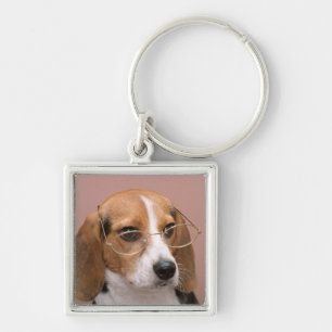 Chaveiro Beagle