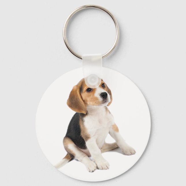 Chaveiro Beagle Puppy (Frente)