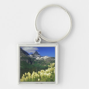 Chaveiro Beargrass no Logan Pass no Parque Nacional Glacier