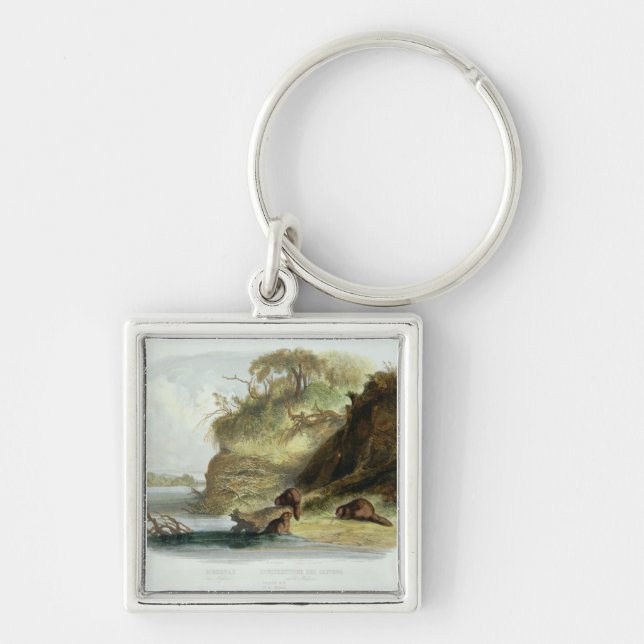 Chaveiro Beaver a cabana no Missouri, chapeie 17 do volume (Frente)