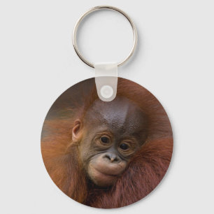Chaveiro Bebê de Orangutang