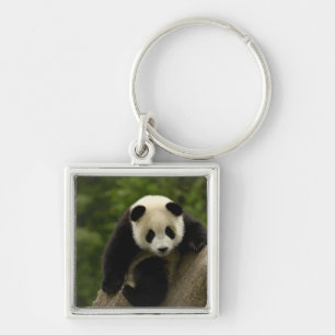 Chaveiro bebê de panda gigante