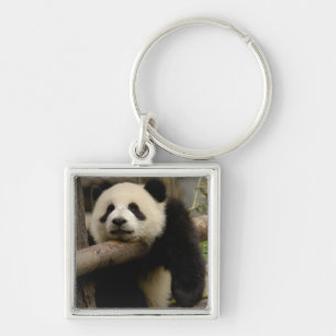 Chaveiro Bebê de panda gigante (Ailuropoda melanoleuca)