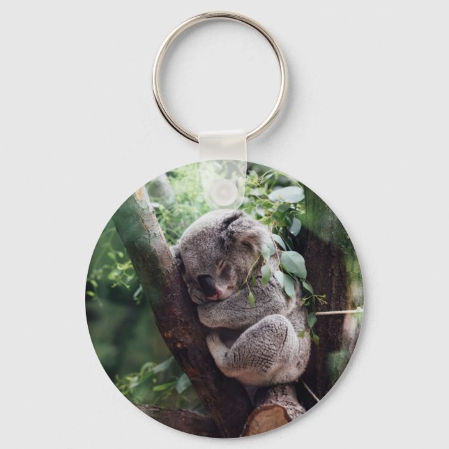 Chaveiro Bebê Dormindo Koala (Frente)