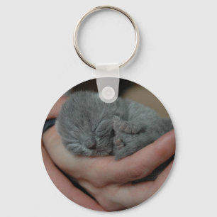 Chaveiro Bebê Gatinho Azul Pequeno