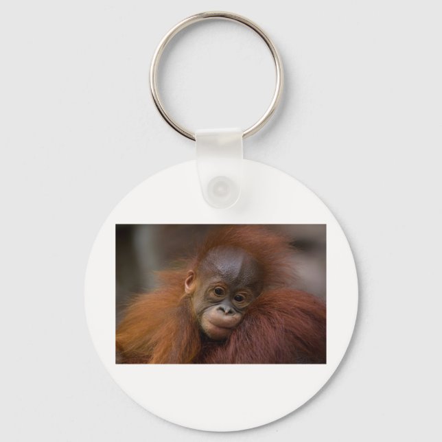 Chaveiro bebê Orangutang (Frente)