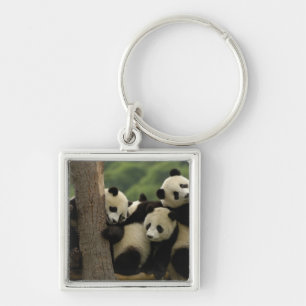 Chaveiro Bebês de panda gigante (Ailuropoda melanoleuca)