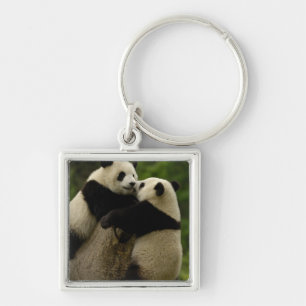 Chaveiro Bebês de panda gigante (Ailuropoda melanoleuca)