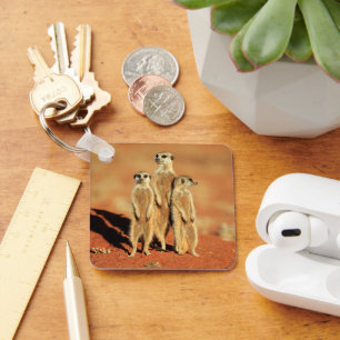 Chaveiro Bebês Mais Pobres   3 Meerkats