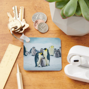 Chaveiro Bebês Mais Pobres Alimentos para pinguins bebês