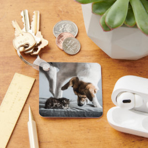 Chaveiro Bebês Mais Pobres   Bebê Kitten e Cachorro