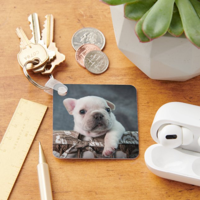 Chaveiro Bebês Mais Pobres | Buldogue francês (Mesa)
