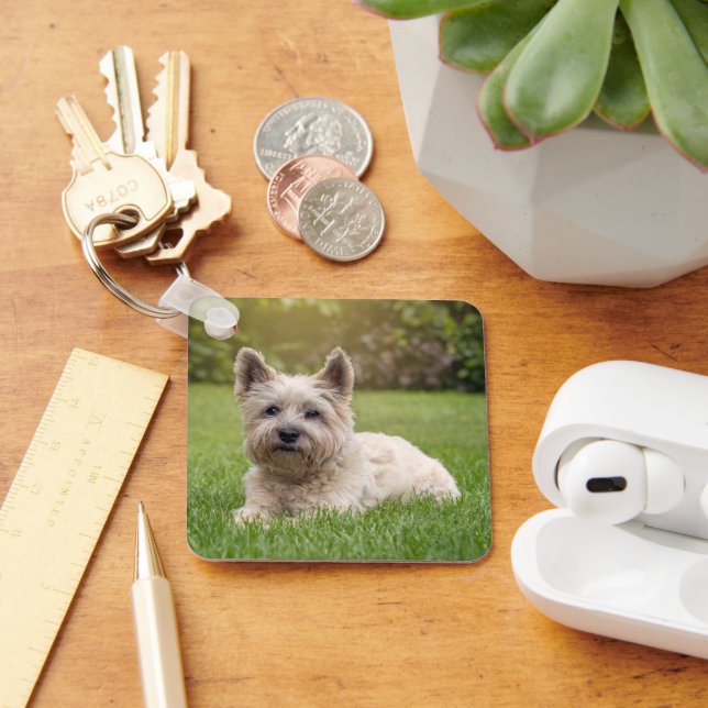Chaveiro Bebês Mais Pobres | Cairn Terrier Dog (Mesa)