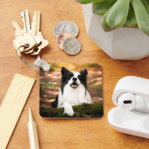Chaveiro Bebês Mais Pobres Collie Preto e Branco