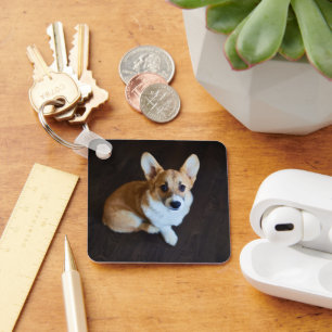 Chaveiro Bebês Mais Pobres Corgi Procurando
