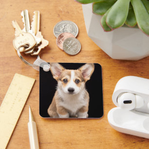 Chaveiro Bebês Mais Pobres   Corgi Puppy Em Pé