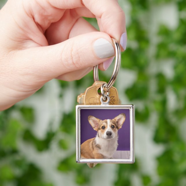 Chaveiro Bebês Mais Pobres | Corgi Puppy em roxo (Mão)