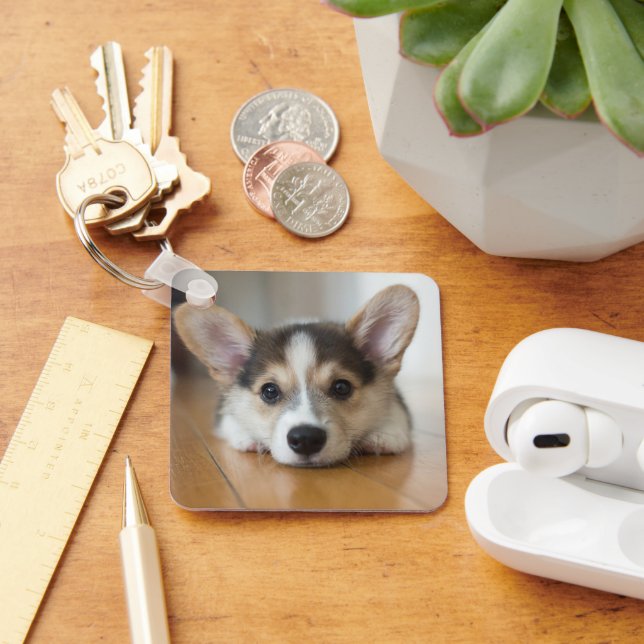 Chaveiro Bebês Mais Pobres | Corgi Puppy Olhando (Mesa)