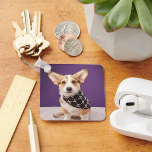 Chaveiro Bebês Mais Pobres   Corgi Puppy Skull Bandana