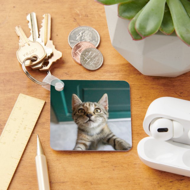 Chaveiro Bebês Mais Pobres | Cute Tabby Kitten (Mesa)