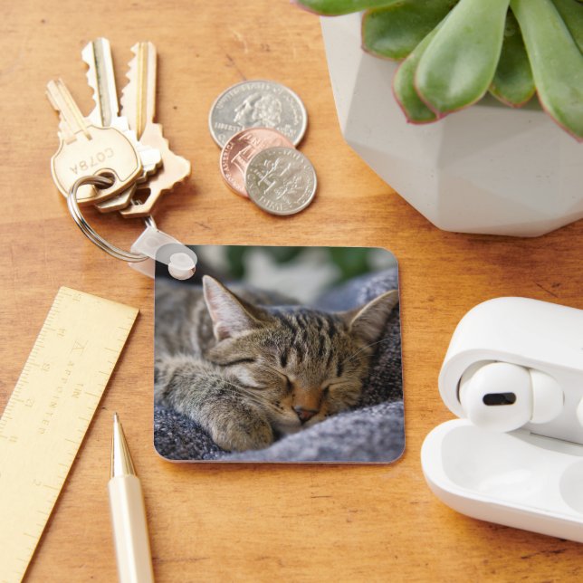 Chaveiro Bebês Mais Pobres | Dormir De Tabby Kitten (Mesa)