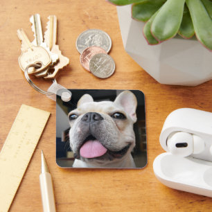 Chaveiro Bebês Mais Pobres Face de Buldogue Francesa