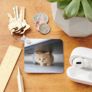 Chaveiro Bebês Mais Pobres Fluffy Orange Kitten