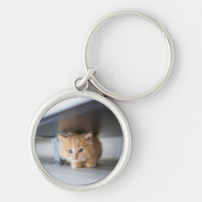 Chaveiro Bebês Mais Pobres | Fluffy Orange Kitten (Frente)