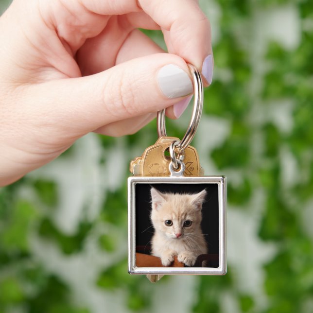 Chaveiro Bebês Mais Pobres | Ginger Kitten (Mão)