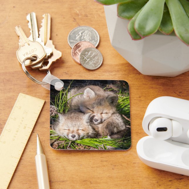 Chaveiro Bebês Mais Pobres | Kits De Raposa Vermelha Para B (Mesa)