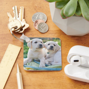 Chaveiro Bebês Mais Pobres Labrador Amarelo Retrievers