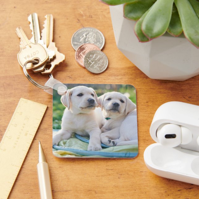 Chaveiro Bebês Mais Pobres | Labrador Amarelo Retrievers (Mesa)