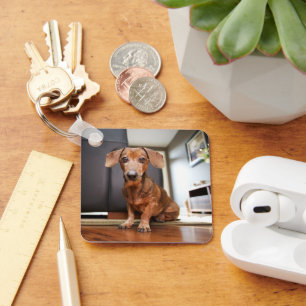 Chaveiro Bebês Mais Pobres Mini Dachshund Puppy