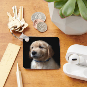 Chaveiro Bebês Mais Pobres Ouro Retriever Puppy
