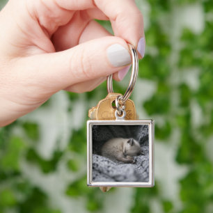 Chaveiro Bebês Mais Pobres Pequeno Gato Dormindo
