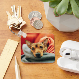 Chaveiro Bebês Mais Pobres   Pinscher miniatura
