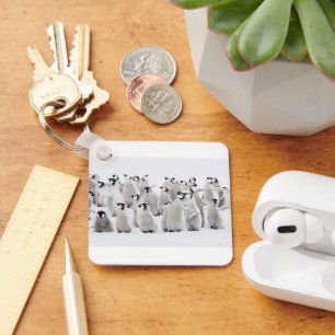 Chaveiro Bebês Mais Pobres   Pintinhos Imperadores Pinguins