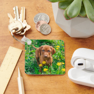 Chaveiro Bebês Mais Pobres   Pointer Puppy