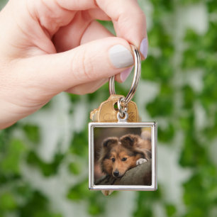 Chaveiro Bebês Mais Pobres   Shetland Sheepdog Puppy