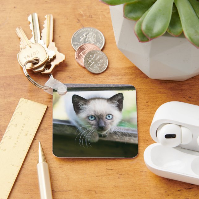 Chaveiro Bebês Mais Pobres | Siamese Kitten 2 (Mesa)