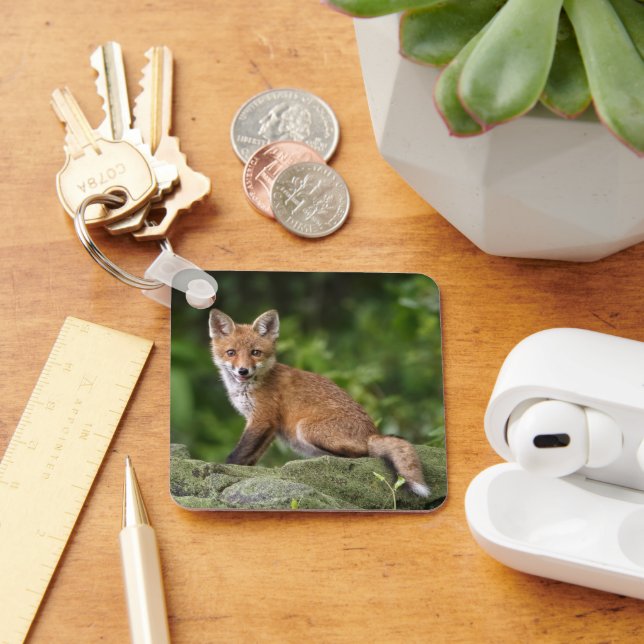 Chaveiro Bebês Mais Pobres | Sorriso De Raposa (Mesa)