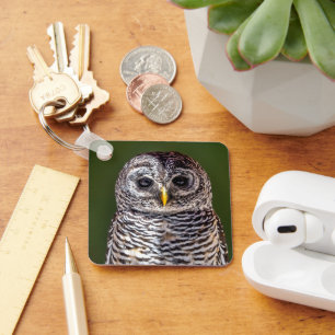 Chaveiro Bebês Mais Pobres Tawny Owl