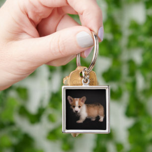 Chaveiro Bebês Mais Pobres Tiny Corgi
