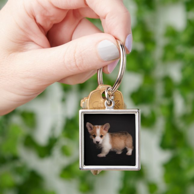 Chaveiro Bebês Mais Pobres | Tiny Corgi (Mão)