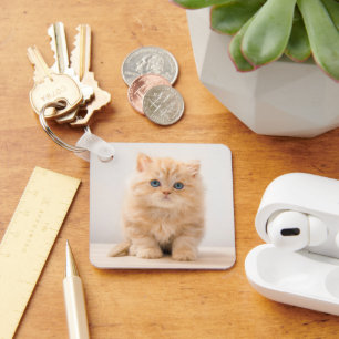 Chaveiro Bebês Mais Pobres Um Gatinho De Palha Britânico