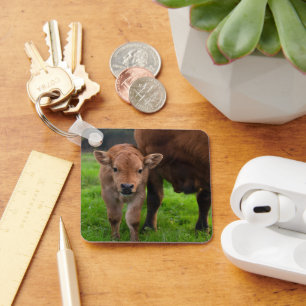 Chaveiro Bebês Mais Pobres Vaca e vitelo