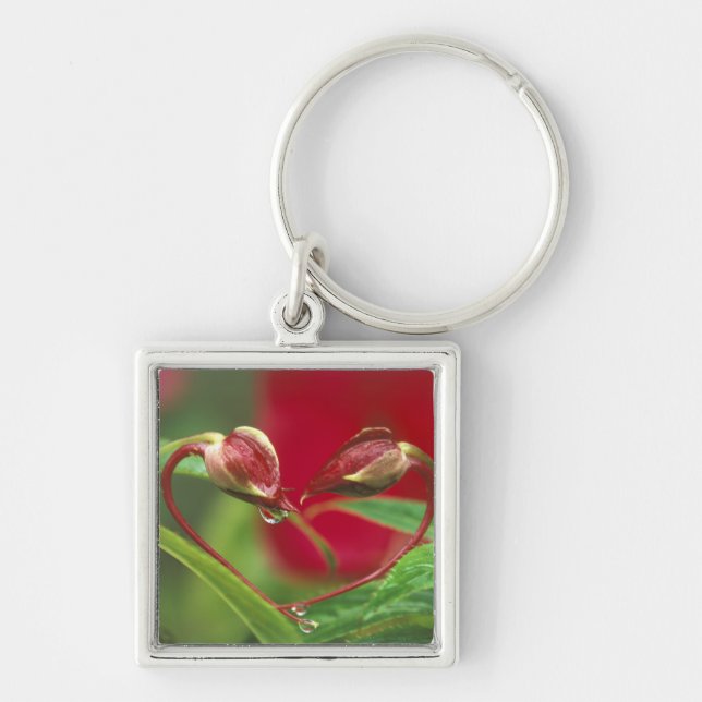 Chaveiro Begonia Buds em forma de coração com gotas. Crédit (Frente)
