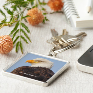 Chaveiro Bela águia majestosa calva em árvore