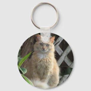 Chaveiro Beleza - O Gato Mais Estranho - Cadeia-Chave